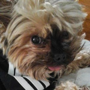 Meet your Posher, Sharon